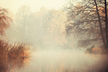 Krajobraz jesienny. Poranna mgła nad stawem - obrazy, fototapety, plakaty