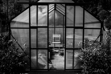 a solitary chair in the greenhouse