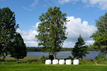 silage in the field at the edge of a Swedish lake