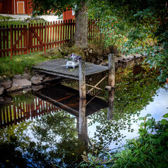 a place to land for a rowboat by the creek