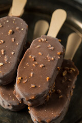 Frozen Chocolate Covered Ice Cream Bars