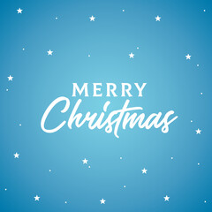Merry Christmas, Christmas Holiday Celebration Greeting Card, Holiday Day, Festive Vector Text Background
