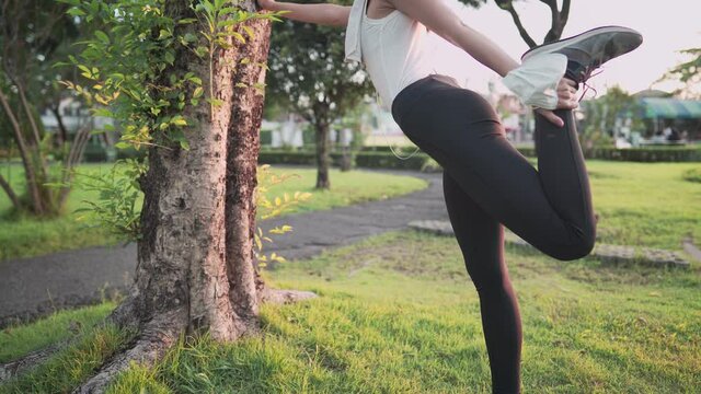 fit young female stretching her legs 
pushing on the tree, warm up before exercise, body flexibility lower body muscle, health care, quadriceps extensions exercise park, fresh morning work out
