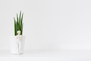 Plant on a desk and figurine in the home interior