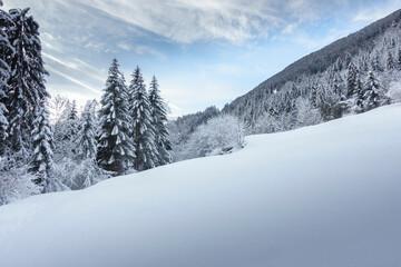 Fototapeta na wymiar Winterlandschaft in den weihnachtlichen tiroler Bergen