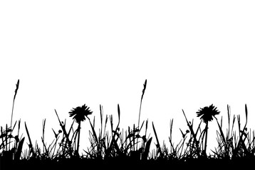 seamless border with grass and meadow flowers isolated on white background