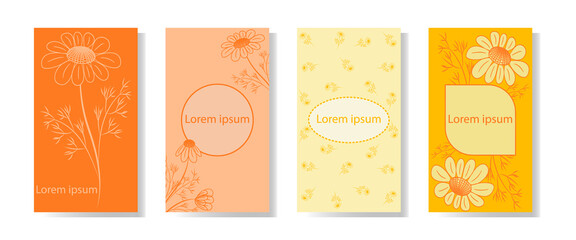 Vector design template for packaging, labels, invitations in a minimalist style. Layout for use in social networks. Set of four backgrounds with the image of daisies. 