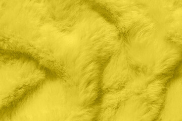 Fur texture in colors of the year 2021 illuminating yellow the ultimate gray. Fluffy fabric coat, textile surface.