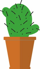  succulent or cactus plant  in ceramic pot 