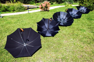 Umbrellas on the grass like satellite dishes