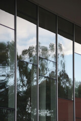 Reflections of trees and sky and clouds in the glass facade of a large building
