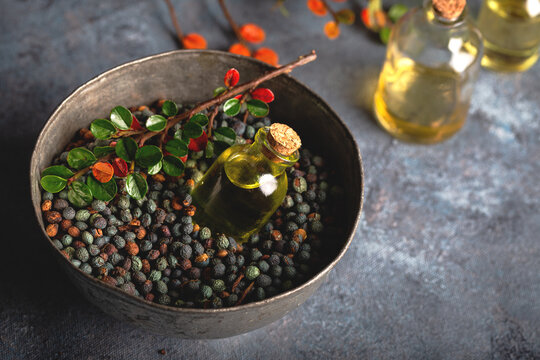 Small bottle of  oil lays horizontally on the hackberry oil. Hackberry oil and dried seeds on dark wooden background.