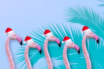 Fotobehang Festive flamingo Greeting or Christmas card with funny animals in xmas santa hats with space for a message © tommoh29