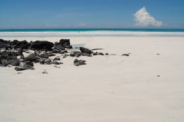 Fototapeta na wymiar a rocky beach with water