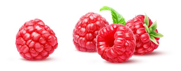Four juicy raspberries and green leaf isolated on white background
