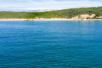 vineyard shore from the sea showing cliffs and beach
