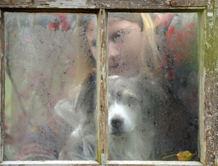 Blick durchs Fenster. Schöner Hund und Frau blicken durch ein vereistes Fenster
