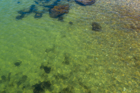 sandy ocean seabed shallows near shore