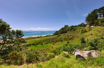 Country road on coastline of Coromandel Peninsula, New Zealand