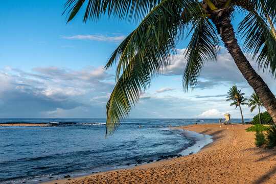 Palm trees grace the shoreline of a sandy beach on the coast of Hawaii with a lifeguard shake and a small island in the ocean, Poipu Beach, Kauai