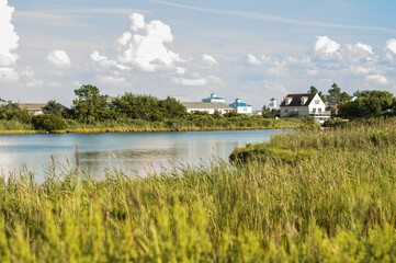 Fototapeta na wymiar Vibrant summer afternoon in the Virginian coastal wetlands