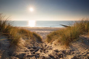 Crédence de cuisine en verre imprimé Mer du Nord, Pays-Bas chemin sur les dunes jusqu& 39 à la plage de la mer du Nord