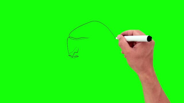 Gorilla Monkey in one line. Black line animation with pencil on green background