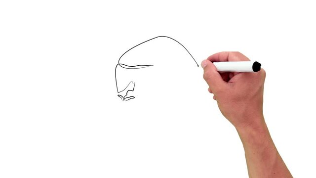 Gorilla Monkey in one line. Black line animation with pencil on white background