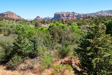 Fototapeta premium desert landscape in Sedona Arizona