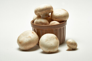 White mushrooms champignons on a light background.