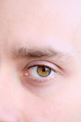 brown eyes of a young man close up, human vision concept, optic nerve health, nervous tic, myopia,...