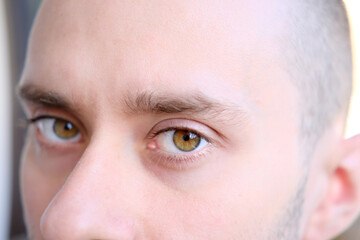 brown eyes of a young man close up, human vision concept, optic nerve health, nervous tic, myopia,...