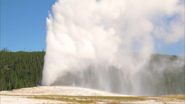 Old Faithful geyser erupting steam and water