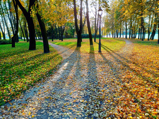 The alley in the autumn park, covered with fallen leaves, is divided into two paths diverging in different directions. Autumn landscape