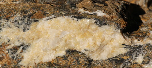 brown metamorphic rock with pale brown crystal vein inside it