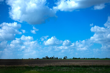 Landscape of meadow in the blue sky