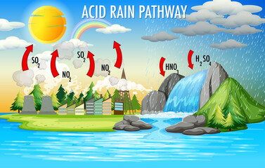 Diagram showing acid rain pathway