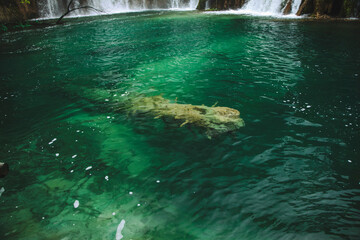 Plitvice Lakes beautiful nature, wood bridge. lakes, waterfall, rainbow, rivers.