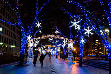 Winter illumination in Midosuji avenue in Osaka, Japan