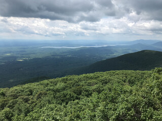 Fototapeta premium mountain landscape with trees and clouds