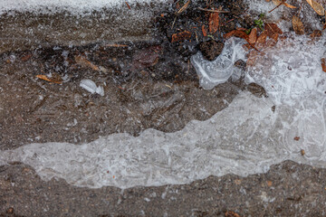 icy leaves on concrete