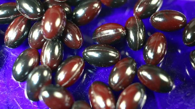 Maroon oval capsules in a shiny shell extremely close-up. Real time, natural light, on a blue background, carotenoids, carotenoid pigments, Astaxanthin