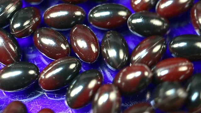 Red oval capsules in a shiny shell extremely close-up. Real time, natural light, on a blue background, carotenoids, carotenoid pigments, Astaxanthin