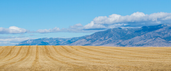panorama of golden hay field in Montana with the majestic Rocky Mountains in the distance under...