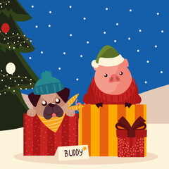 merry christmas cute dog in box pig with sweater and gift tree in the snow