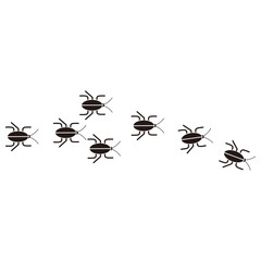 Cockroach insect set, icon vector sign