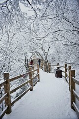 snow covered fence