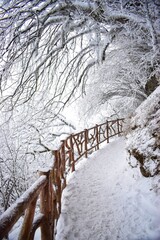 snow covered bridge