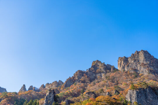 Mina Photos Images Assets Adobe Stock