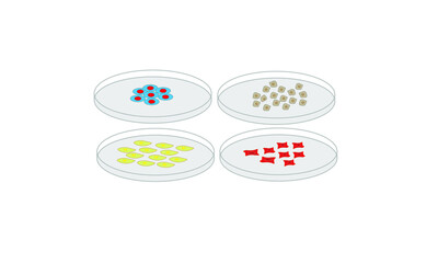 Petri dishes [Cell culture]